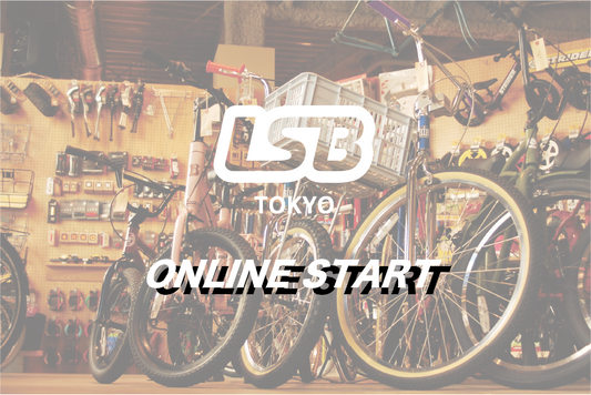 LSB ONLINE START