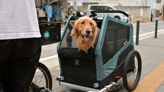 愛犬と一緒に走ろう！電動自転車×ペットカスタムで広がる新しい自転車ライフ