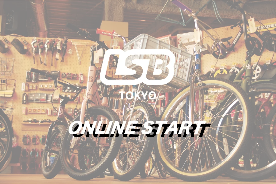 LSB ONLINE START