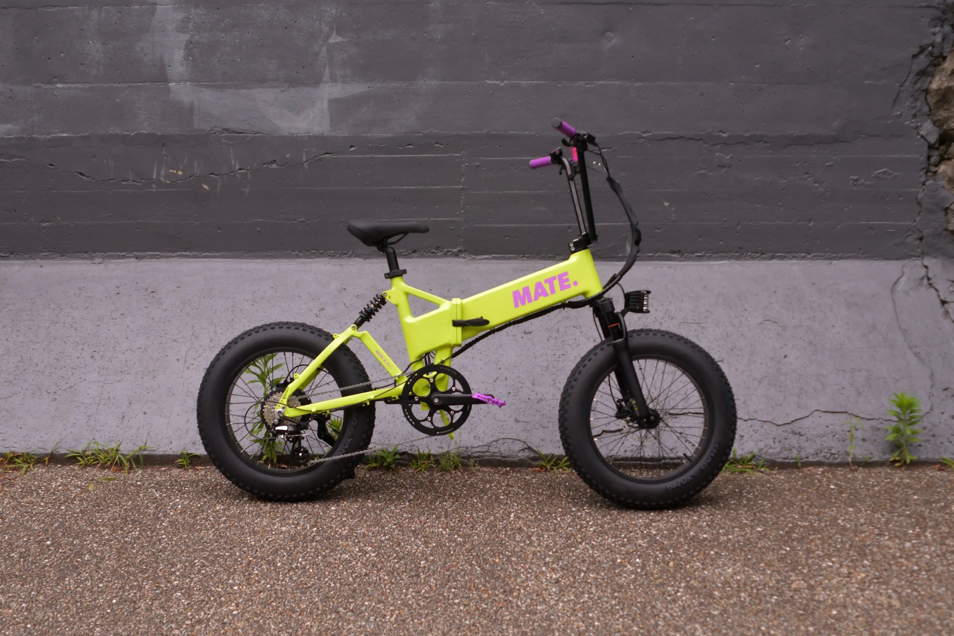 MATE X EVO|東京 墨田 浅草|プロカスタマイズ例 – LSB-TOKYO