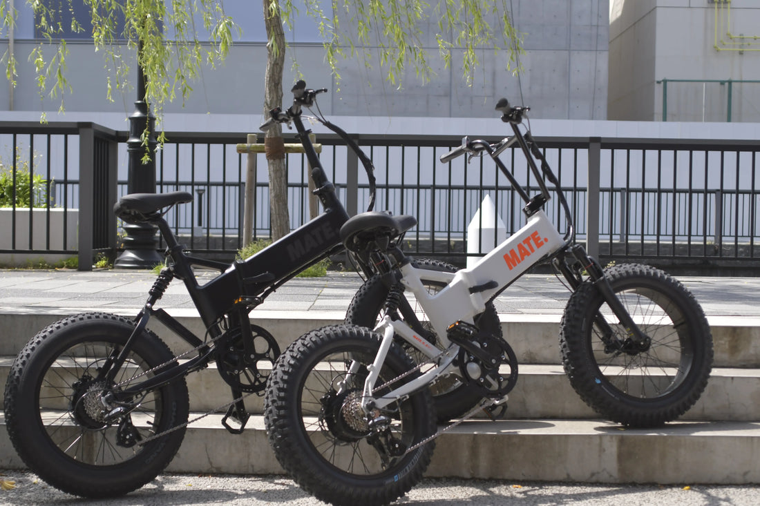 MATE X EVO入荷!】進化ポイントとMATE Xとの違いとは? – LSB-TOKYO MATE X EVO入荷!】進化ポイントとMATE Xとの違いとは? – LSB-TOKYO