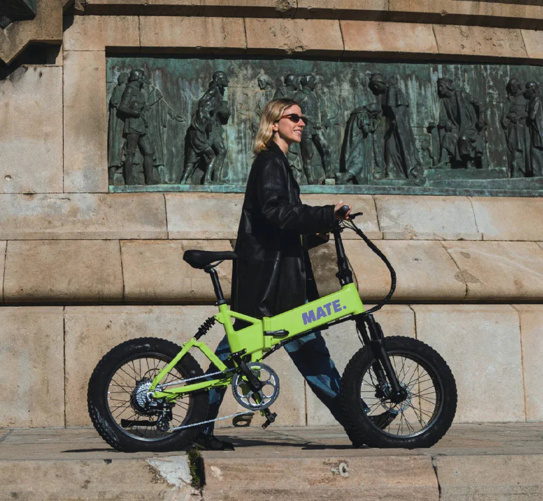 *MATE.BIKE* MATE X EVO